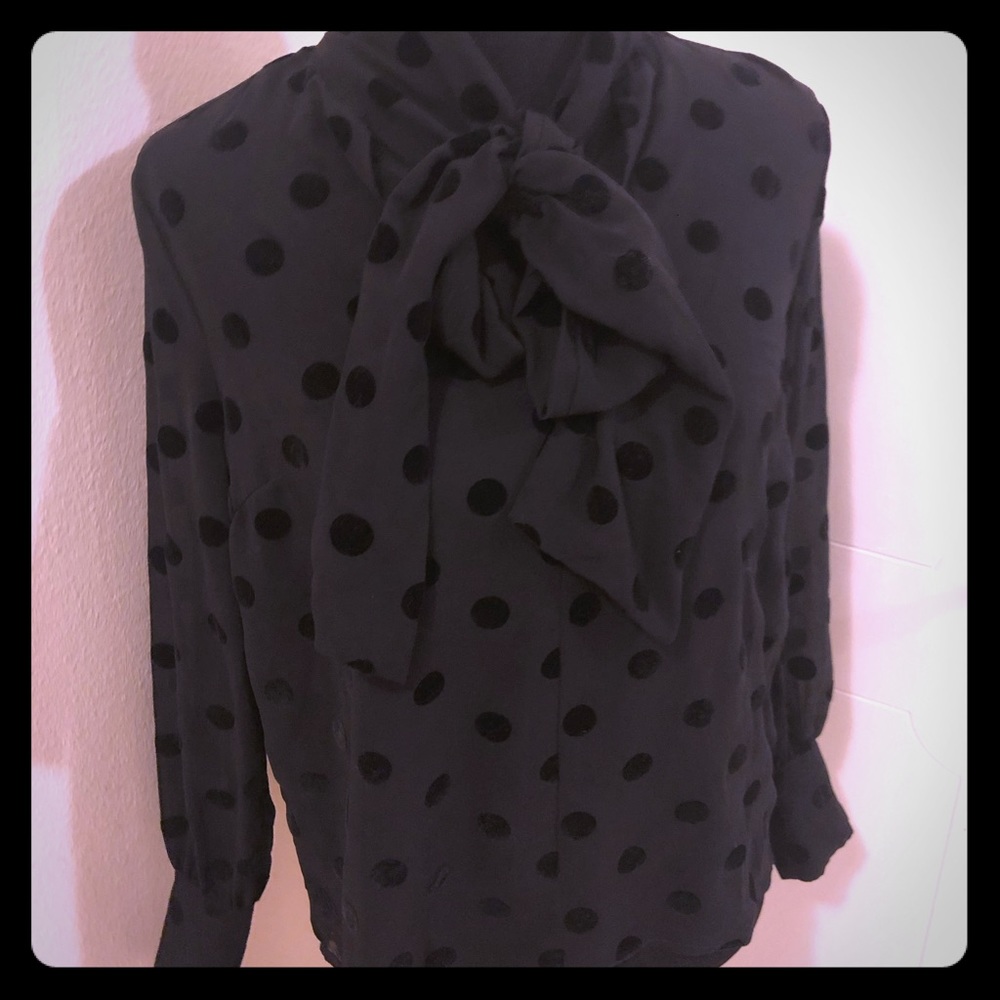 Black sheer blouse with raised polka dot print.